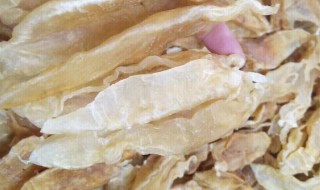 鱼膘的作用（鱼膘的作用和功能）