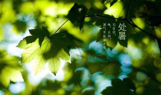 处暑节气天气还热吗（处暑节气天气还热吗）