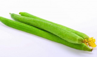 丝瓜不能跟什么食物一起吃（丝瓜不可以跟什么一起吃）