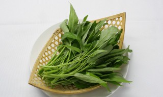 青菜有虫用什么方法可以杀虫（青菜有虫用什么除虫最好）