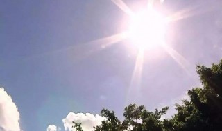 夏天的太阳有什么特点（夏天的阳光有什么特点）