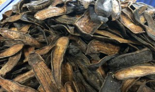 蚂蝗吃什么（蚂蝗吃什么饲料）