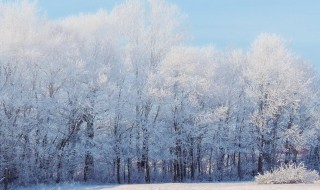雪的由来简介 雪的由来简介英文版