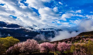 林芝海拔多少米（四川林芝海拔多少米）