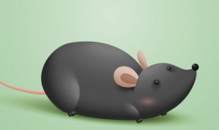 老鼠会爬树吗 老鼠会爬树吗为什么