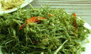 鹿角菜是什么植物（鹿角菜是什么植物类型）