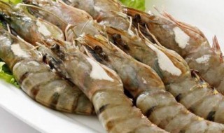 海虾有哪些品种 海虾有哪些品种不能养殖