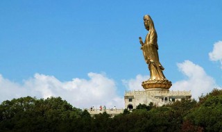普陀山有多高（普陀山有多高海拔多少）