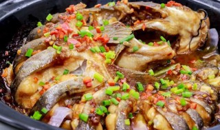剑骨鱼是什么鱼 剑骨鱼是什么鱼做的