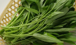 芥菜和荠菜的区别（芥菜与荠菜的区别）