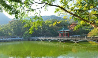 罗浮山在哪里 深圳罗浮山在哪里