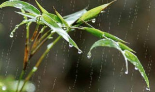 关于雨的唯美诗句（关于雨的唯美诗句爱情）