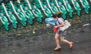 12级台风有多大威力（12级台风有多大威力跟安徽有关吗?）