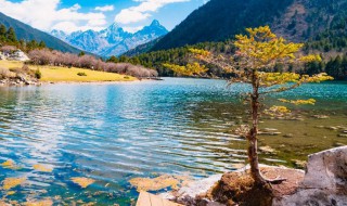 木格措海拔（木格措风景区旅游攻略）