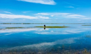 中国最大咸水湖 中国最大咸水湖排名