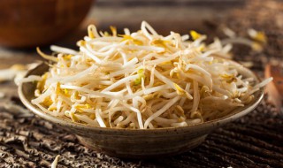 怎样种豆芽（怎样种豆芽简单方法）