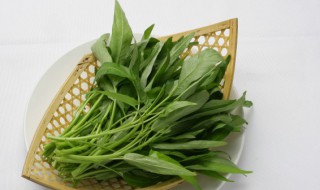 空心菜又叫什么菜 空心菜又叫什么菜的拼音