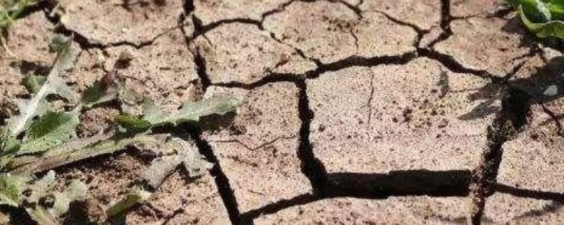 土壤板结的原因 土壤板结的原因及解决办法