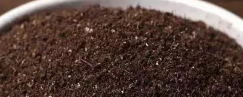 花土怎么制作与发酵 种花土怎么发酵