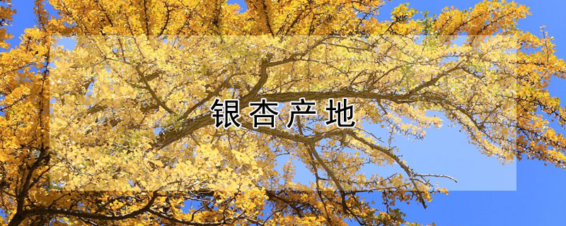 银杏产地 银杏产地大多在哪里