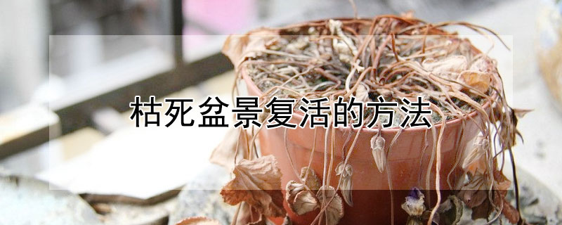 枯死盆景复活的方法（枯死盆景复活的方法是什么）