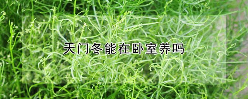 天门冬能在卧室养吗 天门冬养在家里好吗