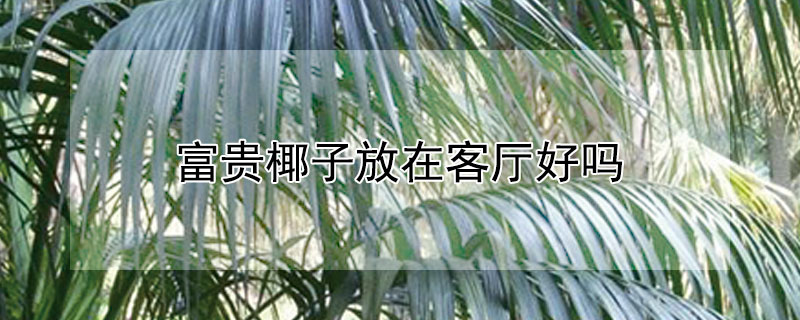 富贵椰子放在客厅好吗 富贵椰子放在客厅好吗风水好吗