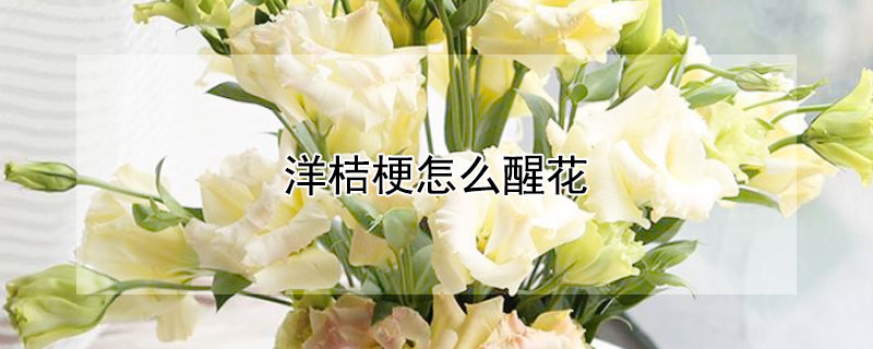 洋桔梗怎么醒花（刚买回来的洋桔梗怎么醒花）