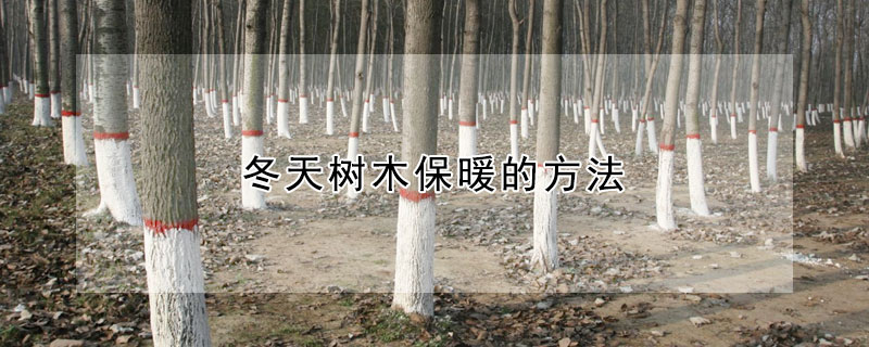 冬天树木保暖的方法 冬天树木保暖的方法图片幼儿园