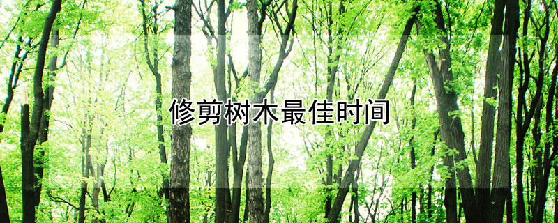 修剪树木最佳时间（修剪树木最佳时间是几点）