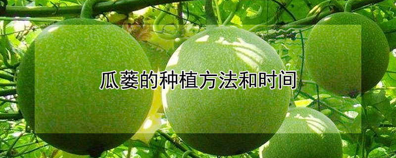 瓜蒌的种植方法和时间（瓜蒌的功效与作用）