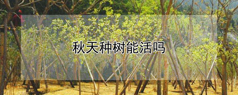 秋天种树能活吗（秋天种树可以活吗）