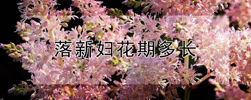 落新妇花期多长（落新妇种植到开花周期）