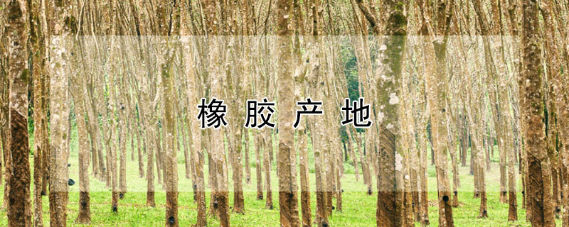 橡胶产地 橡胶产地分布图