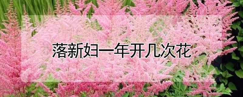 落新妇一年开几次花 落新妇什么时候栽种