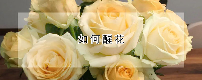 如何醒花（如何醒花玫瑰）