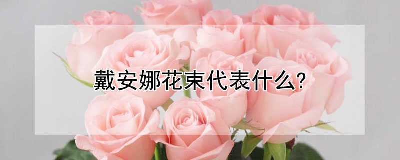 戴安娜花束代表什么? 戴安娜花束代表什么意思