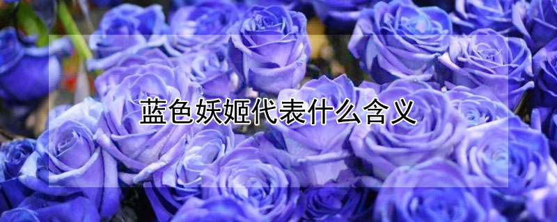 蓝色妖姬代表什么含义 蓝色妖姬代表什么含义朋友