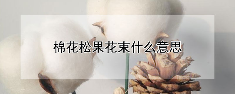 棉花松果花束什么意思 老年人还适合学工笔画吗