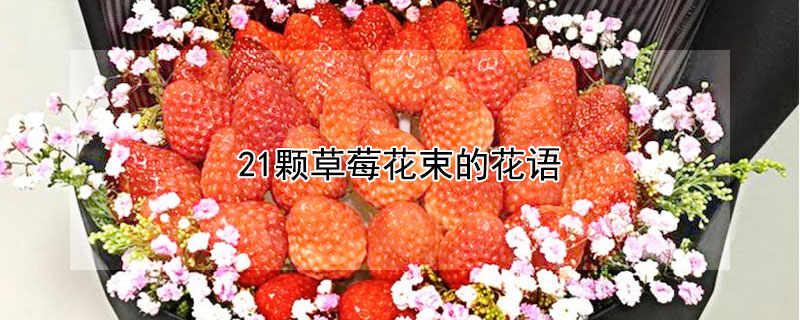 21颗草莓花束的花语（24颗草莓花束）