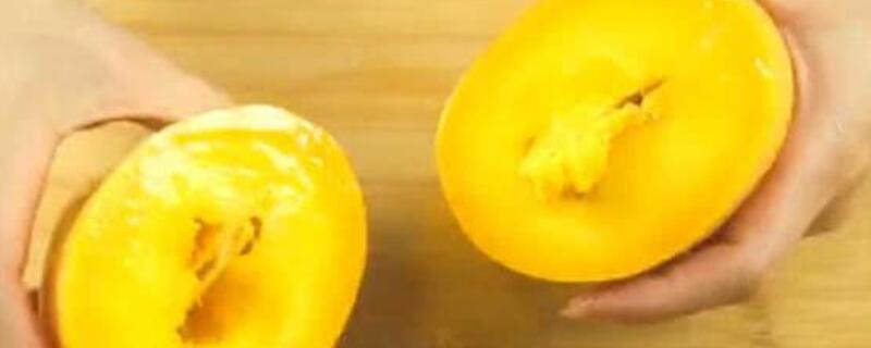 芒果核可以种吗（芒果核可以种吗怎么种注意什么应该在哪个季节种）