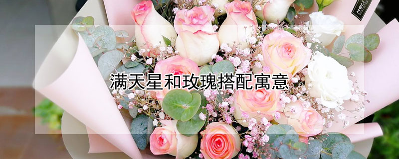 满天星和玫瑰搭配寓意 满天星搭配玫瑰花语