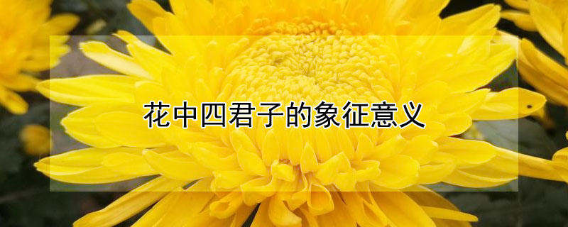 花中四君子的象征意义 花中四君子的象征意义和诗句