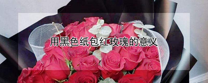 用黑色纸包红玫瑰的意义（用黑色的纸包玫瑰花寓意）