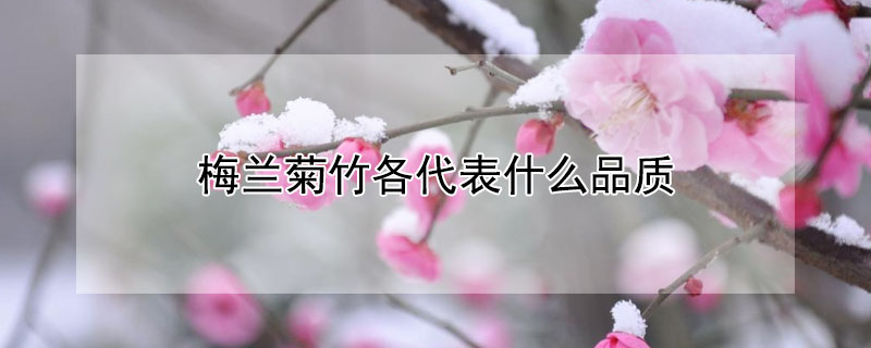 梅兰菊竹各代表什么品质 岁寒三友是指哪三个植物