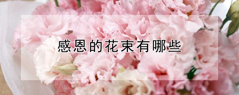 感恩的花束有哪些 感恩的花束有哪些百合花图片