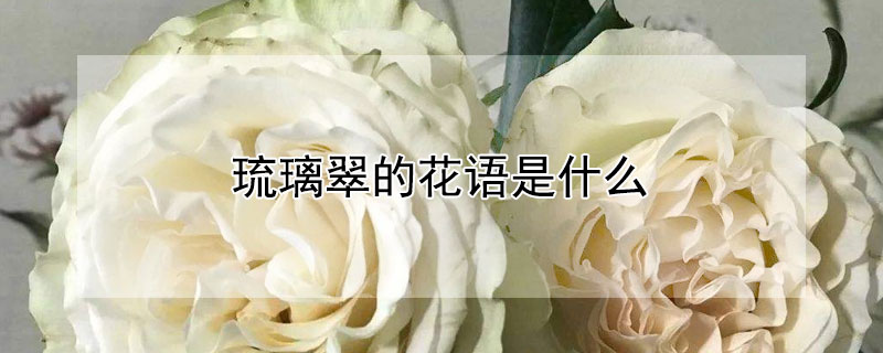 琉璃翠的花语是什么（琉璃为什么不能送人）