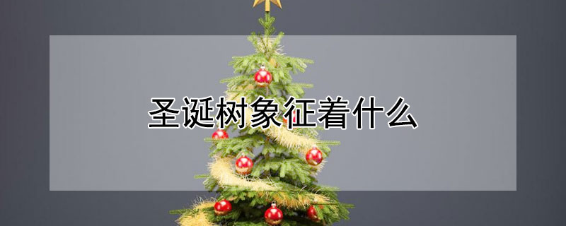 圣诞树象征着什么 圣诞树象征着什么英语