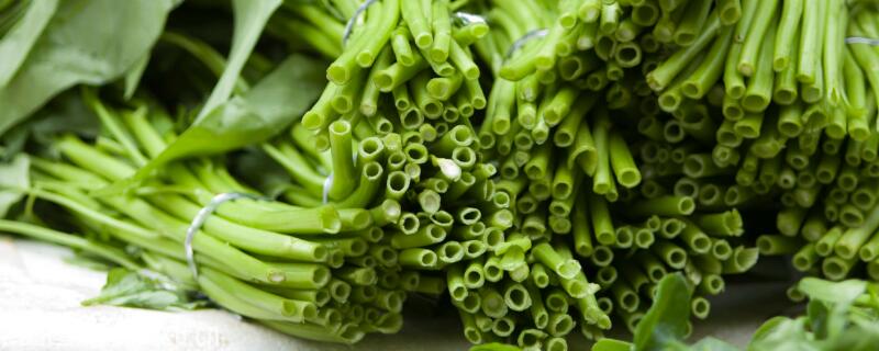 四月份种什么蔬菜（四月份种什么蔬菜比较好）