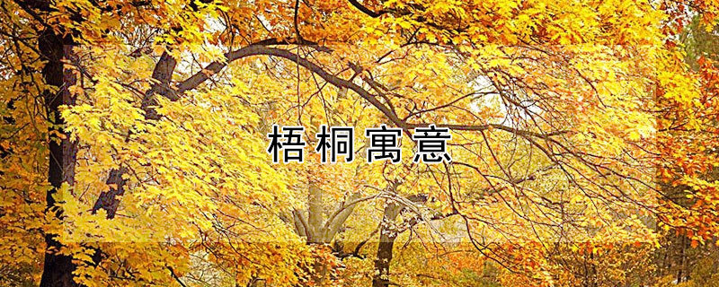 梧桐寓意 梧桐寓意和象征意义